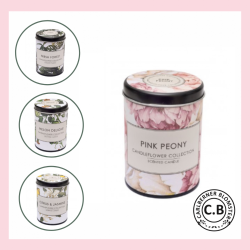 Scented candles Pink peony